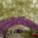 Illustration for article titled These Extraordinary Tunnels Look Like Gateways to Other Worlds